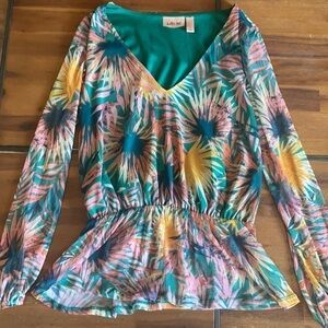 Willow & Root Long Sleeves Colorful Mesh Blouse size small v neck
